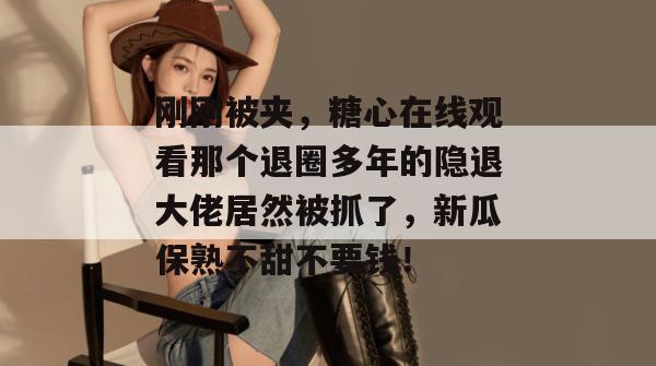刚刚被夹，糖心在线观看那个退圈多年的隐退大佬居然被抓了，新瓜保熟不甜不要钱！